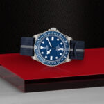 Pelagos FXD - Image 4