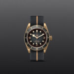 Black Bay Bronze - Image 2