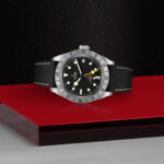 Black Bay Pro - Image 4